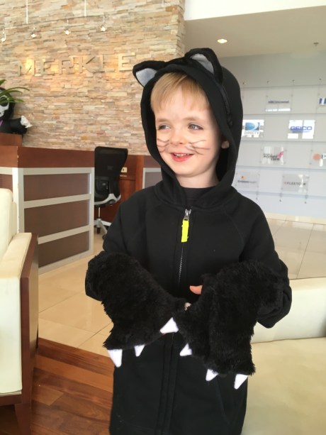 Who's a handsome kitty?