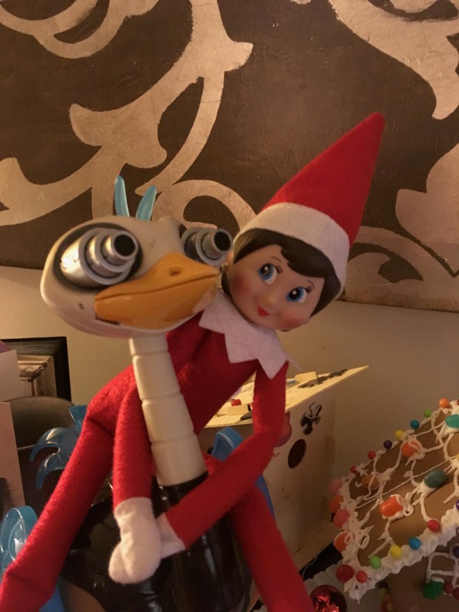 Silly Elf on the Shelf!