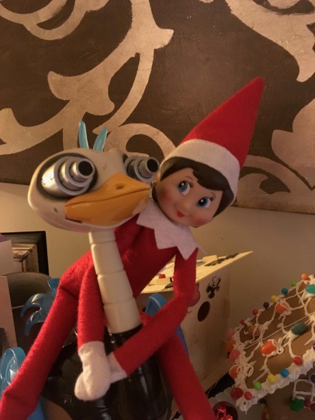 Silly Elf on the Shelf!