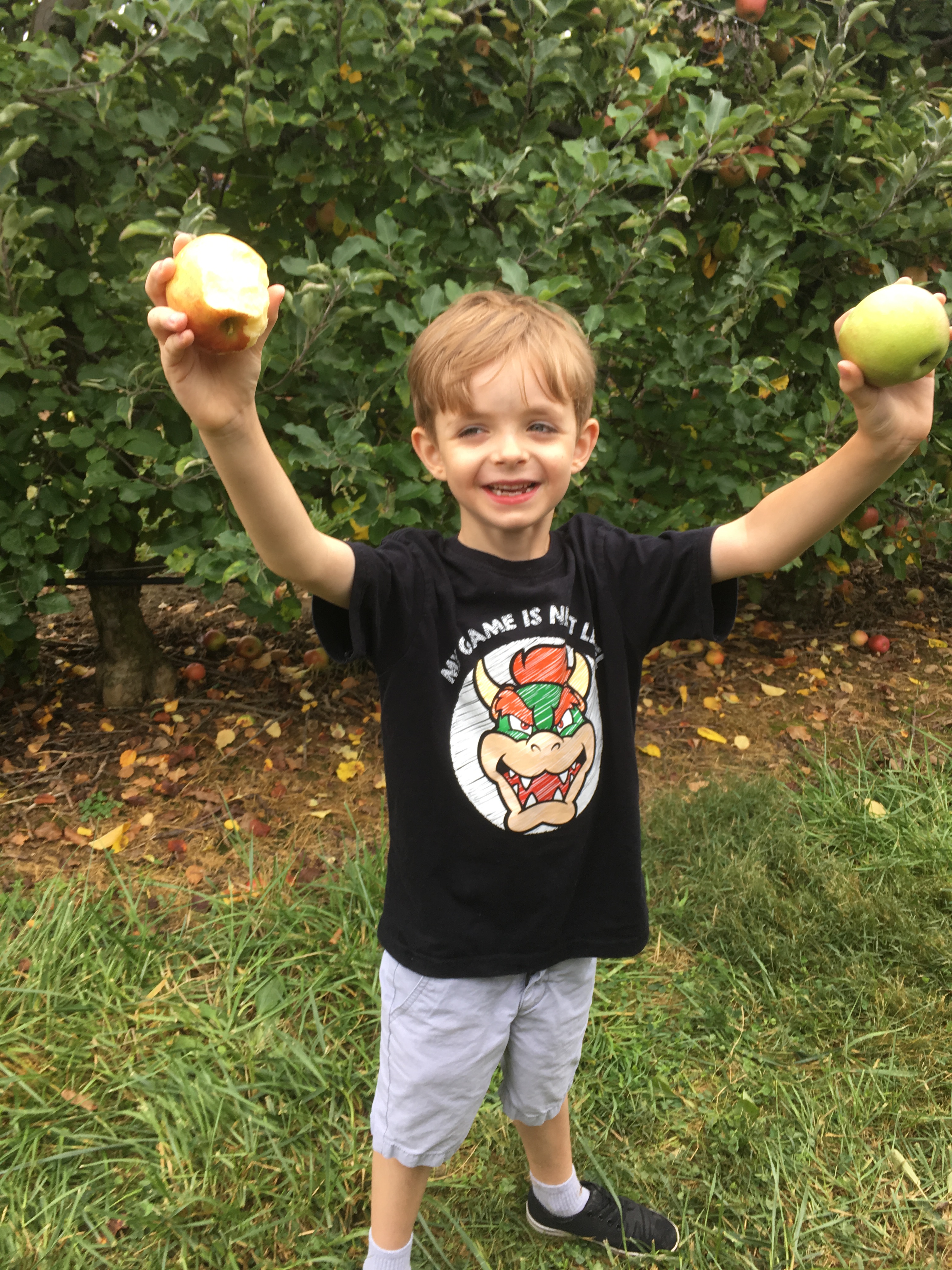 apple picking